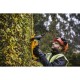 Кусторез DeWALT 18 В, 5Ah, длина ножа 55 см, диаметр веток 25 мм (DCMHT563P1)