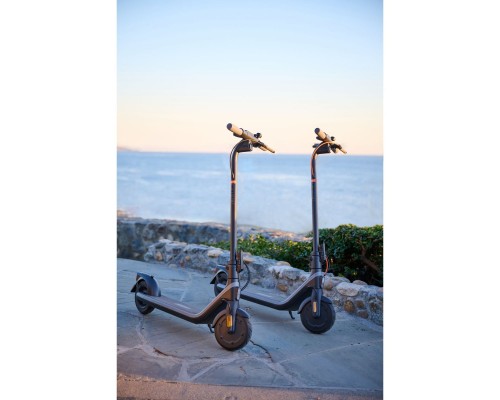 Электросамокат Segway Ninebot E2 E, черный (AA.00.0013.13) Электросамокат Segway Ninebot E2 E, черный (AA.00.0013.13)