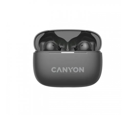 Навушники Canyon TWS-10 OnGo ANC ENC Graphite (CNS-TWS10B)