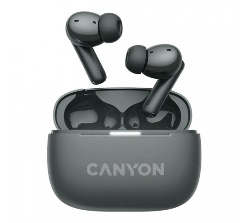 Навушники Canyon TWS-10 OnGo ANC ENC Graphite (CNS-TWS10B)