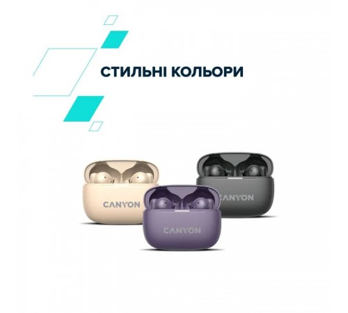 Навушники Canyon TWS-10 OnGo ANC ENC Graphite (CNS-TWS10B)