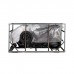 Электроскутер Atlas Spider Box 1500W Black (4003)