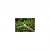 Кущоріз Black&Decker BEHTS551