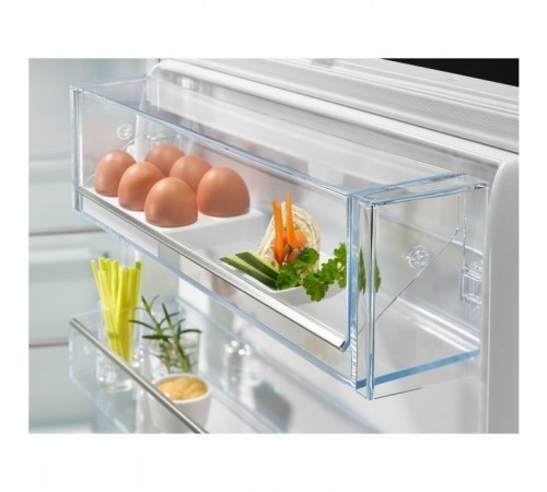 Холодильник Electrolux RNT6TE19S0 Холодильник Electrolux RNT6TE19S0