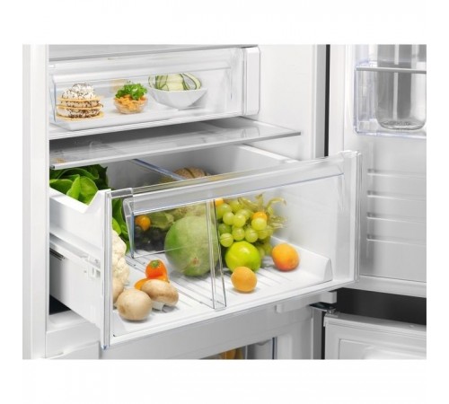 Холодильник Electrolux RNT6TE19S0 Холодильник Electrolux RNT6TE19S0