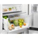 Холодильник Electrolux RNT6TE19S0