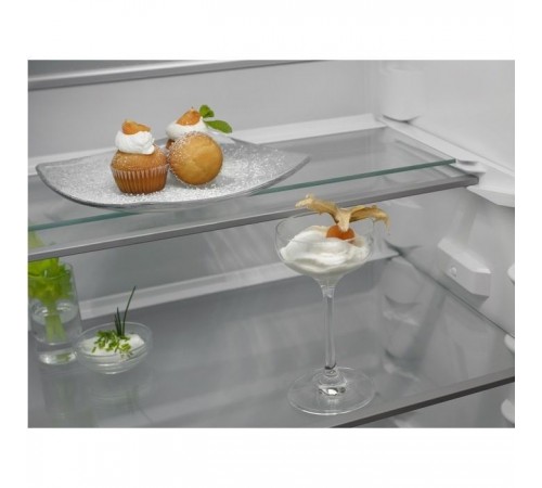 Холодильник Electrolux RNT6TE19S0 Холодильник Electrolux RNT6TE19S0
