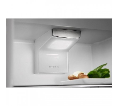 Холодильник Electrolux RNT6TE19S0 Холодильник Electrolux RNT6TE19S0