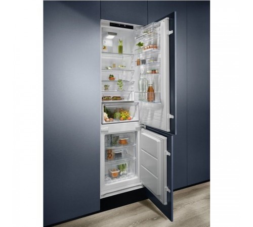 Холодильник Electrolux RNT6TE19S0 Холодильник Electrolux RNT6TE19S0
