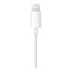 Наушники Apple iPhone EarPods with Mic Lightning (MWTY3ZM/A)