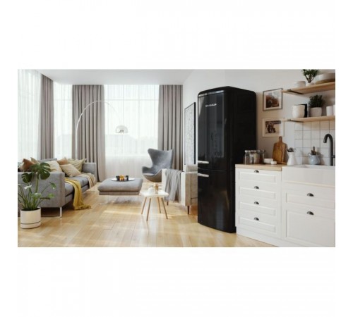 Холодильник Gorenje ONRK 619 DBK (ONRK619DBK) Холодильник Gorenje ONRK 619 DBK (ONRK619DBK)
