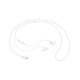 Наушники Samsung IC100 Type-C Earphones White (EO-IC100BWEGRU)