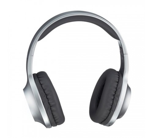 Наушники Panasonic RB-HX220BEE-S Gray (RB-HX220BEE-S) Наушники Panasonic RB-HX220BEE-S Gray (RB-HX220BEE-S)