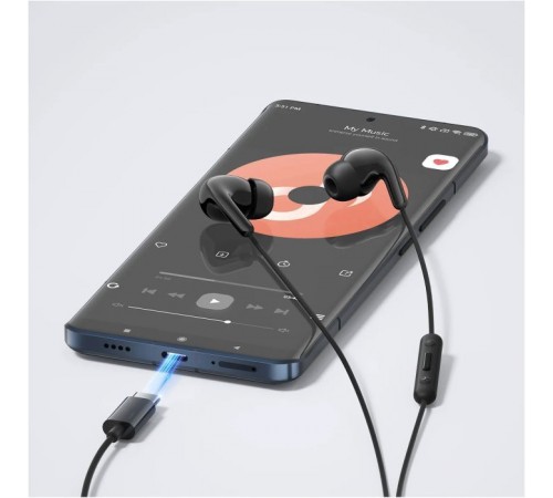 Наушники Xiaomi Type-C Earphones Black (1071791) Наушники Xiaomi Type-C Earphones Black (1071791)
