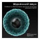 Навушники HiFuture OlymBuds3 Black (olymbuds3.black)