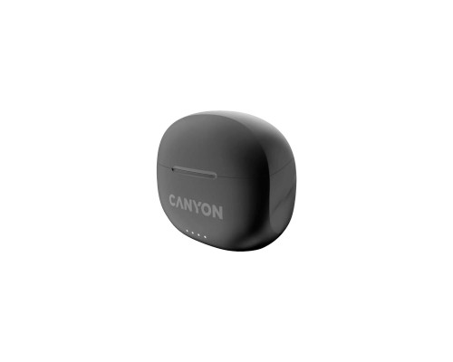 Наушники Canyon TWS-8 Black (CNS-TWS8B) Наушники Canyon TWS-8 Black (CNS-TWS8B)