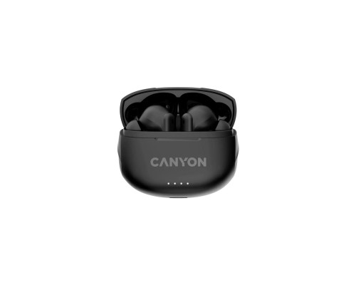 Наушники Canyon TWS-8 Black (CNS-TWS8B) Наушники Canyon TWS-8 Black (CNS-TWS8B)