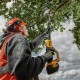 Ланцюгова пила DeWALT висоторіз 18V, 5Ah, довжина шини 20 см (DCMPS567P1)