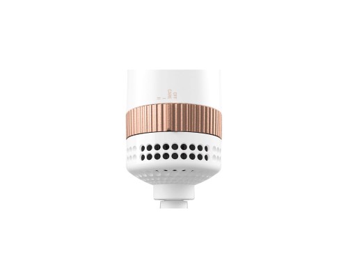 Фен-щетка Rowenta CF9820F0 Фен-щетка Rowenta CF9820F0