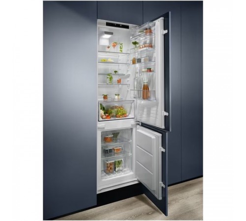 Холодильник Electrolux RNT6TE19S Холодильник Electrolux RNT6TE19S