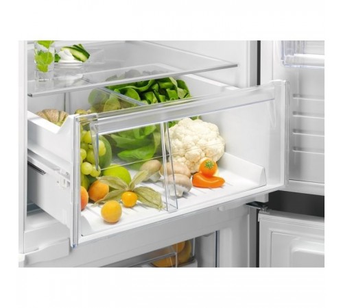 Холодильник Electrolux RNT6TE19S Холодильник Electrolux RNT6TE19S