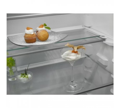 Холодильник Electrolux RNT6TE19S Холодильник Electrolux RNT6TE19S