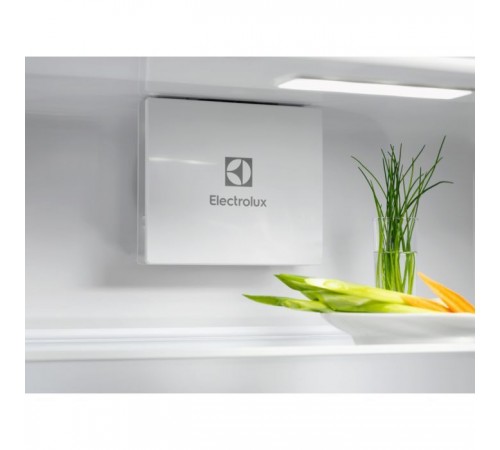 Холодильник Electrolux ERD6DE18S1 Холодильник Electrolux ERD6DE18S1