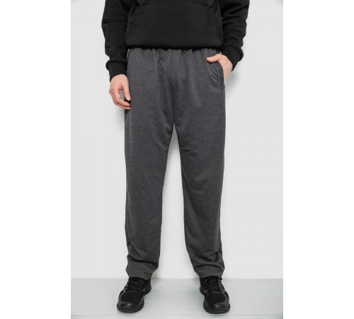 Спортивные штаны мужские, цвет серый, 244R41399